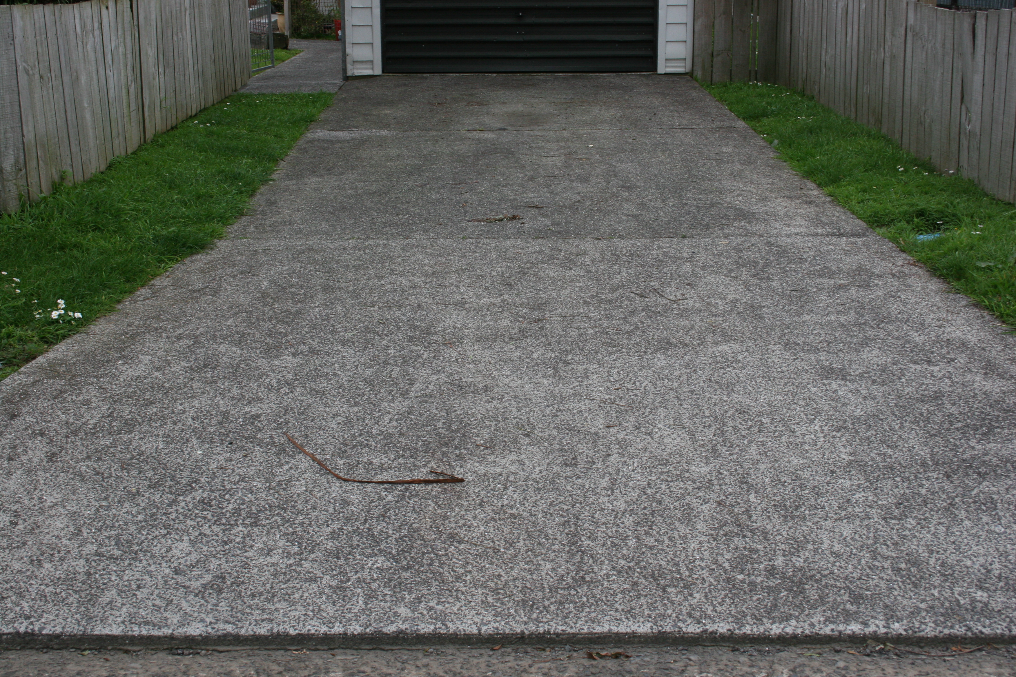 Before Driveway Clean