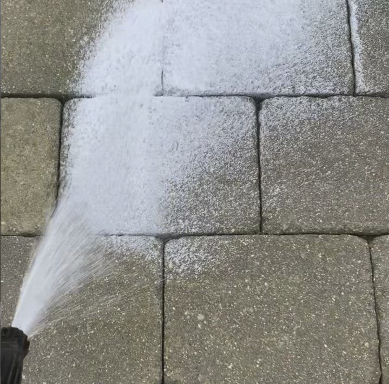 Moss & Mould Treatment Service